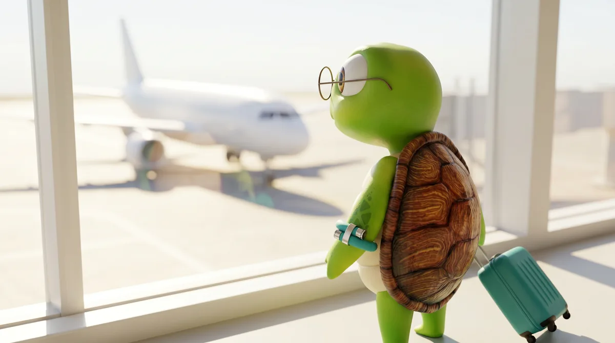 Wris the turtle mascot wearing wristraw